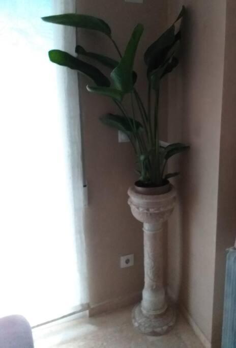Cosy At Center Appartamento *